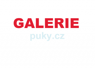 Fotogalerie